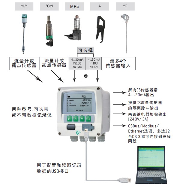 DS300 在线记录仪